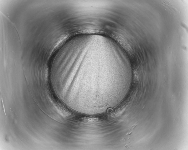 X0000093720304200710301030