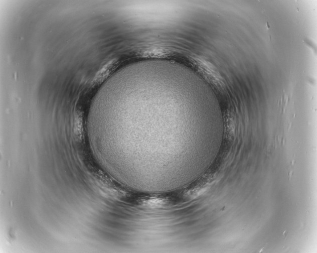 X0000093720312200710301030