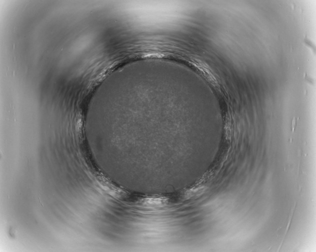 X0000093720314200710301030