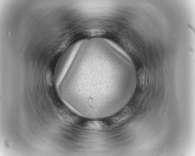 X0000093720316200710301030