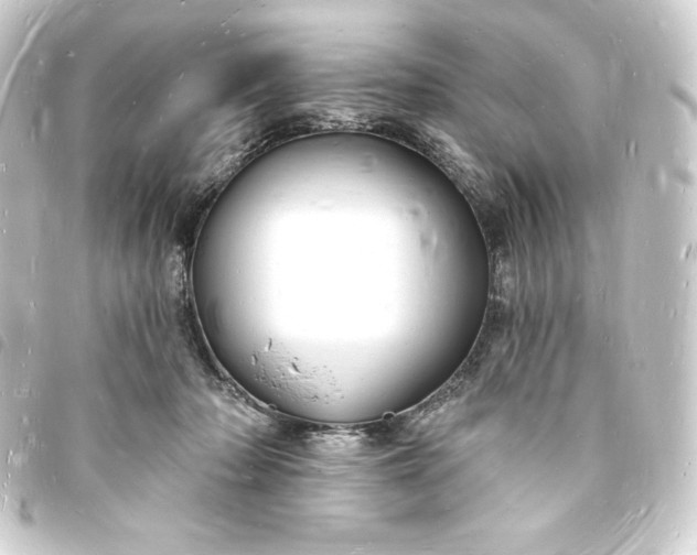 X0000093720318200710301030