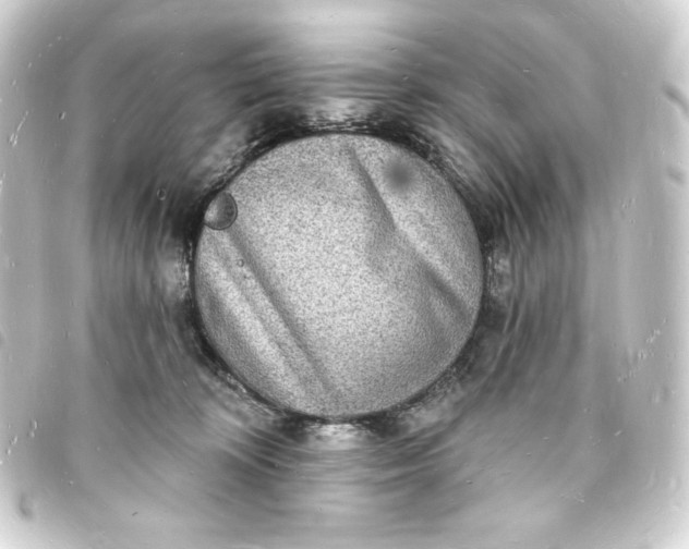 X0000093720324200710301030