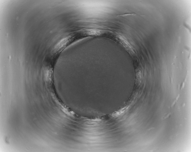 X0000093720325200710301030