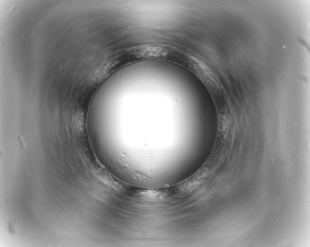 X0000093720326200710301030