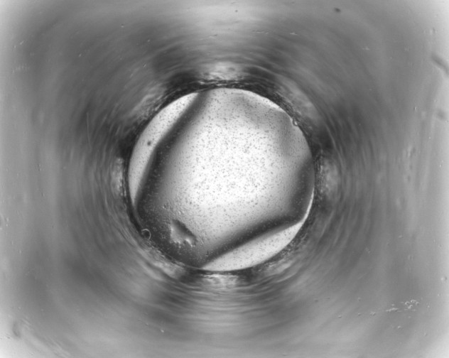 X0000093720328200710301030
