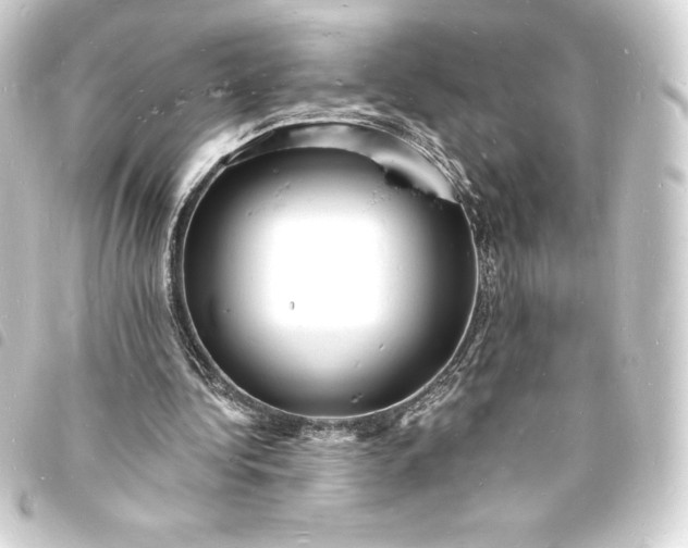 X0000093720340200710301029