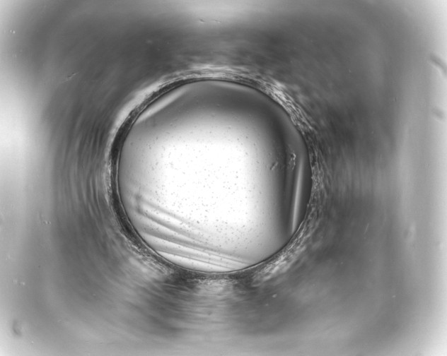 X0000093720342200710301029