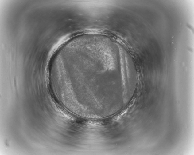 X0000093720343200710301029