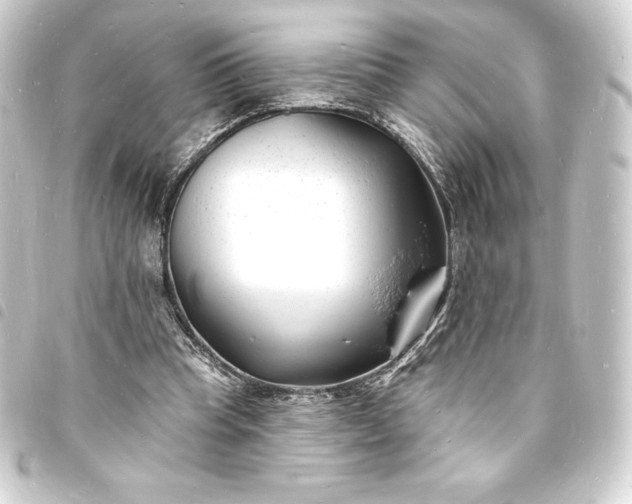 X0000093720345200710301029