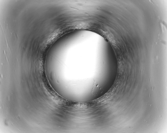 X0000093720354200710301029