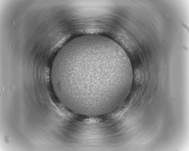 X0000093720356200710301029