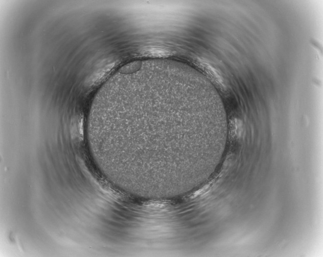 X0000093720358200710301029