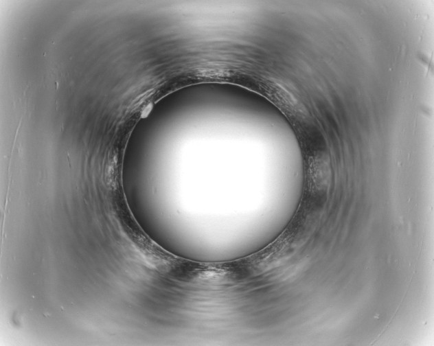 X0000093720364200710301029