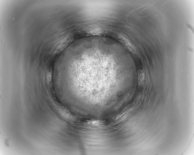 X0000093720365200710301029