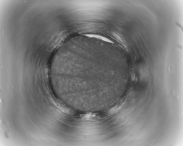 X0000093720366200710301029