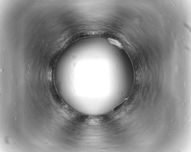 X0000093720368200710301029