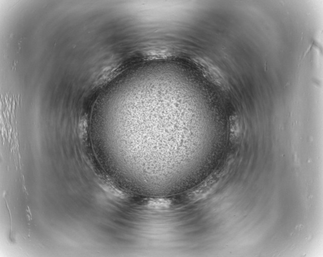 X0000093720369200710301029