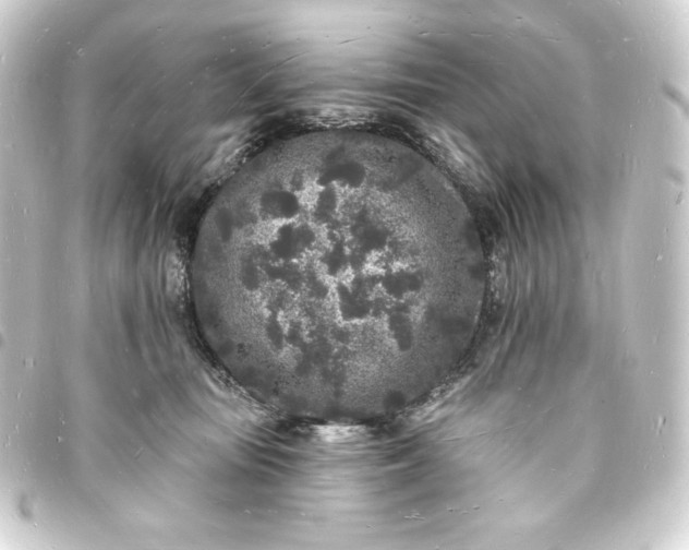 X0000093720371200710301029