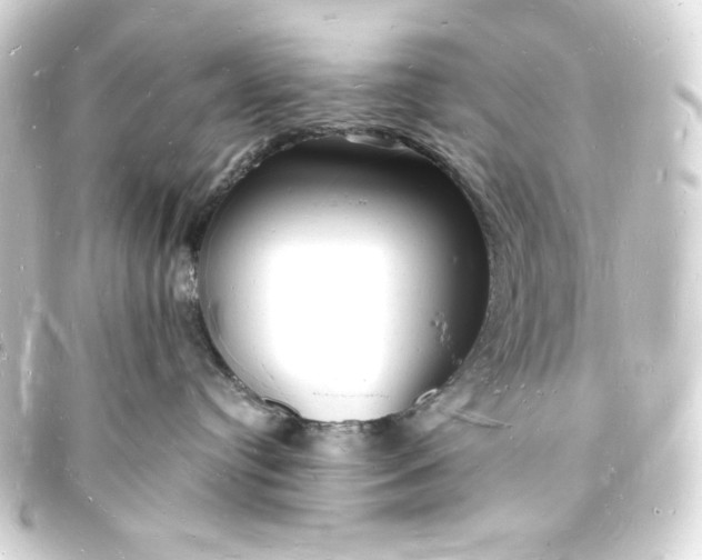 X0000093720384200710301030