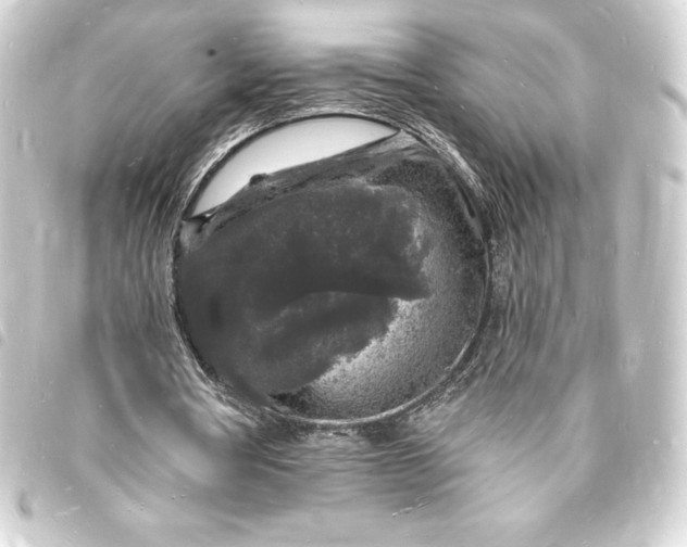 X0000093720386200710301029