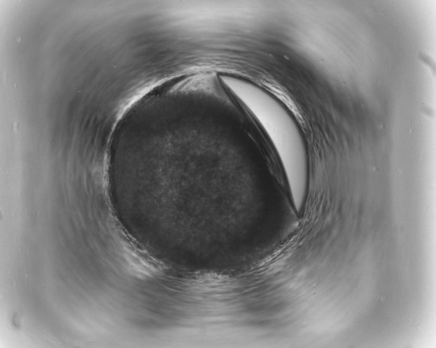 X0000093720387200710301029