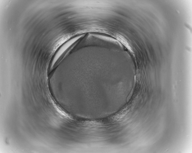 X0000093720389200710301029
