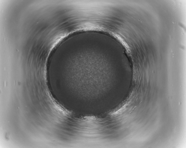 X0000093720391200710301029