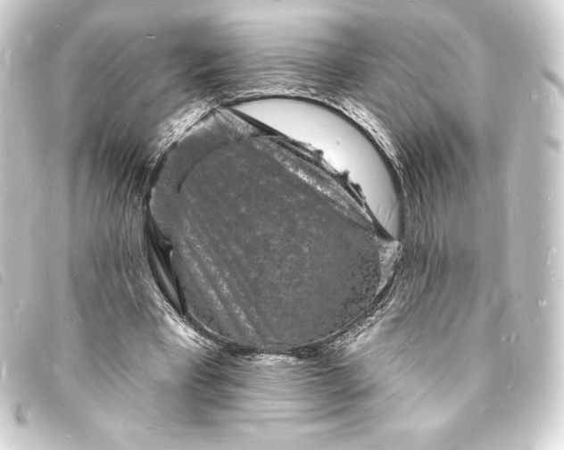 X0000093720393200710301029