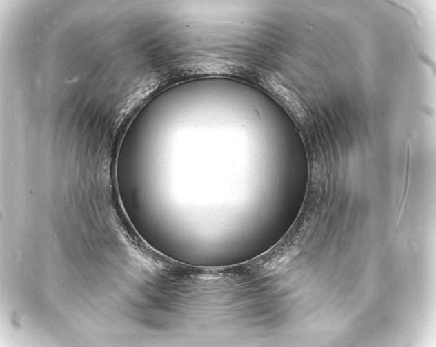 X0000093720394200710301029