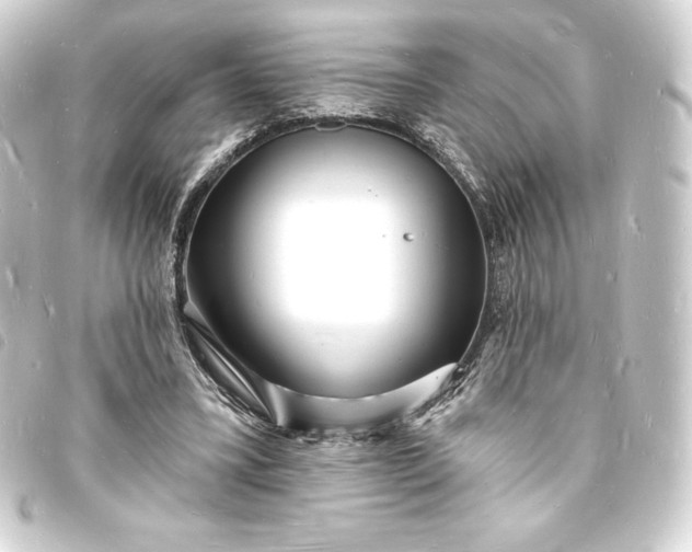 X0000093720395200710301029