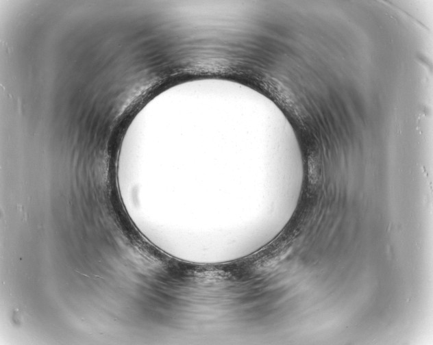 X0000093720396200710301029