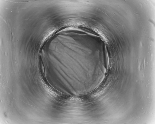 X0000093720399200710301029