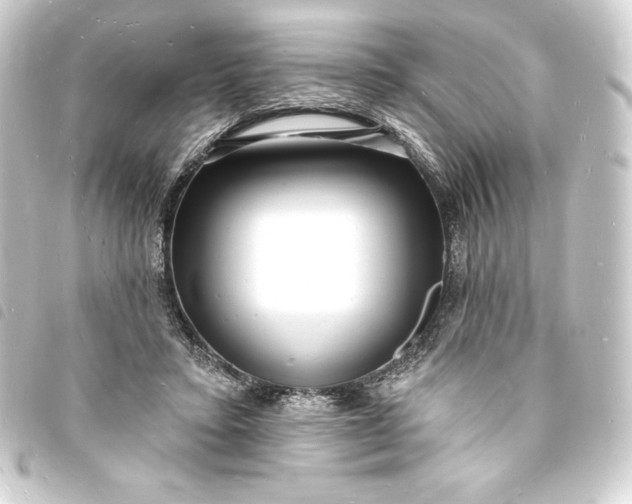 X0000093720403200710301029
