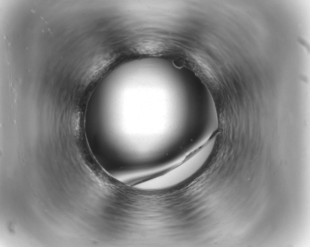 X0000093720404200710301029