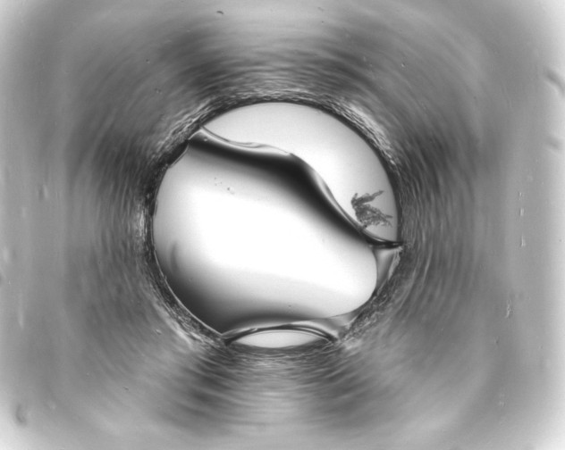 X0000093720405200710301029