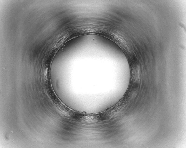 X0000093720406200710301029