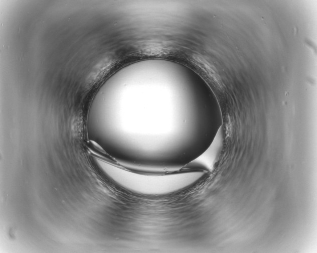 X0000093720407200710301029