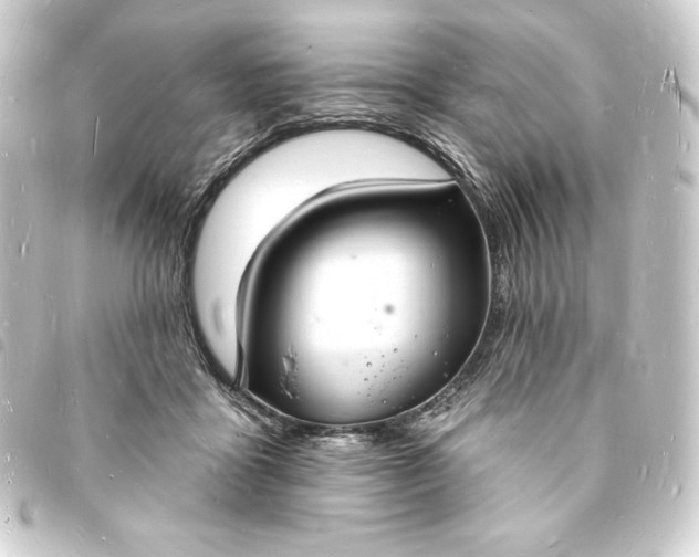 X0000093720411200710301029