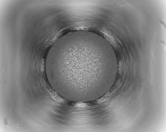 X0000093720413200710301029
