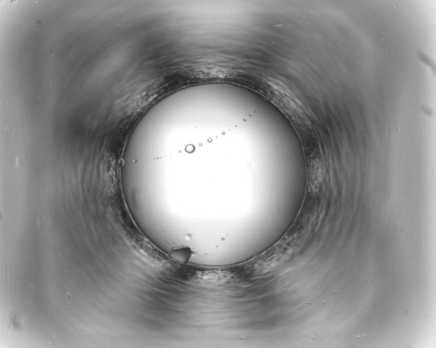 X0000093720414200710301029