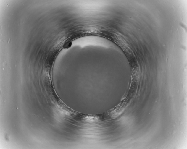 X0000093720415200710301029