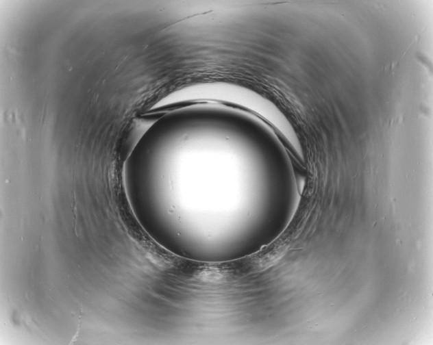 X0000093720416200710301028