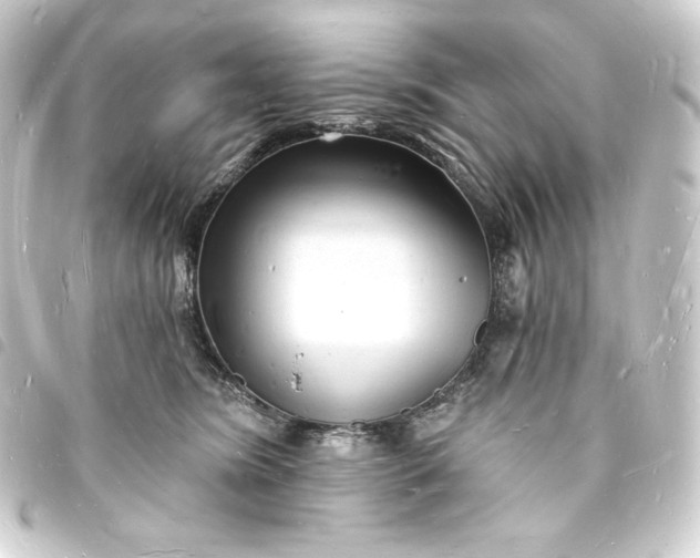 X0000093720420200710301028