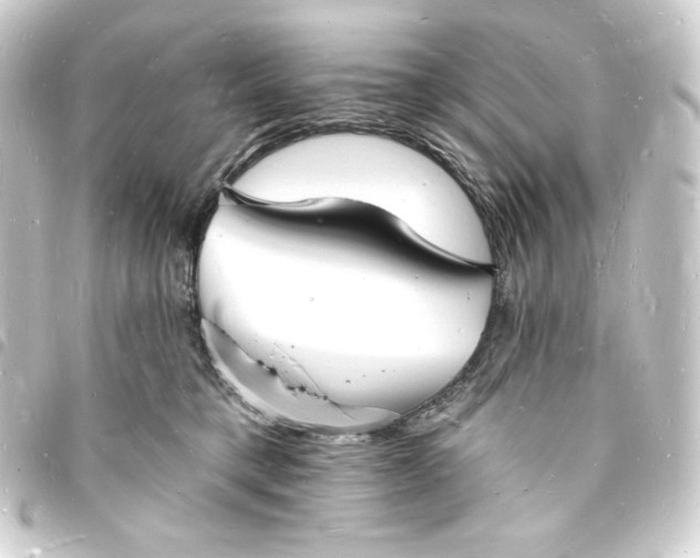 X0000093720421200710301028