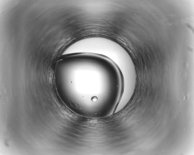 X0000093720423200710301028