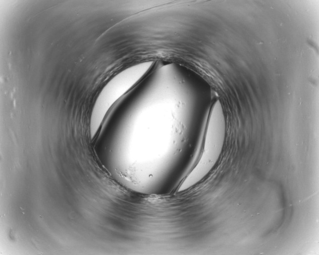 X0000093720425200710301028