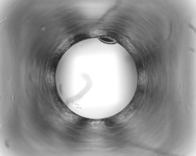 X0000093720426200710301028