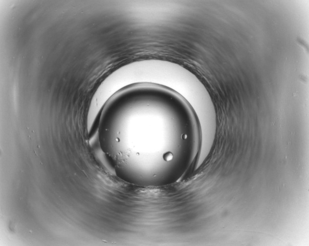 X0000093720428200710301028