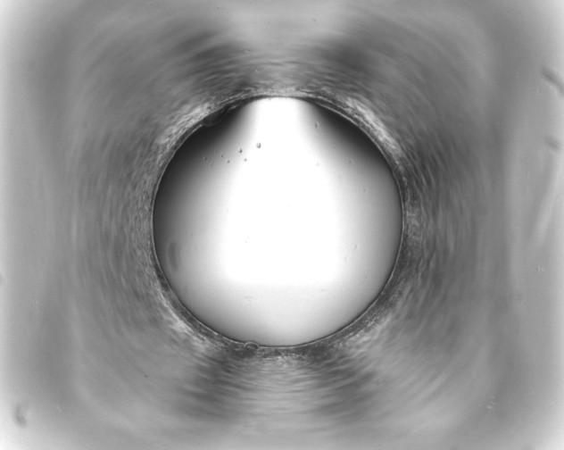 X0000093720433200710301027