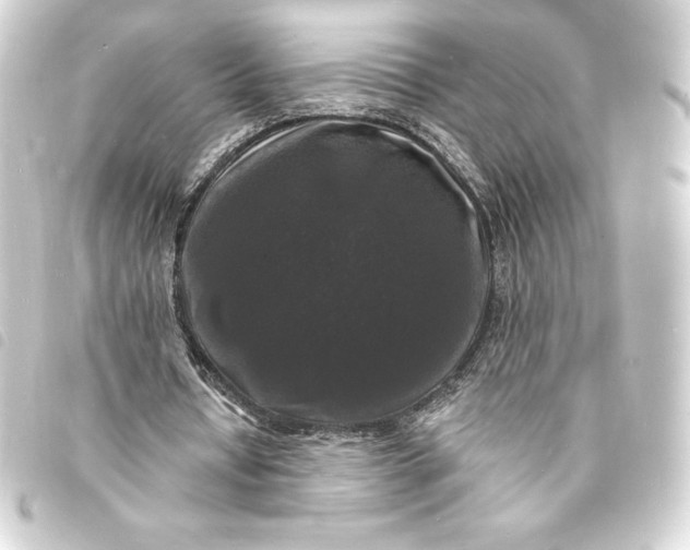 X0000093720434200710301027